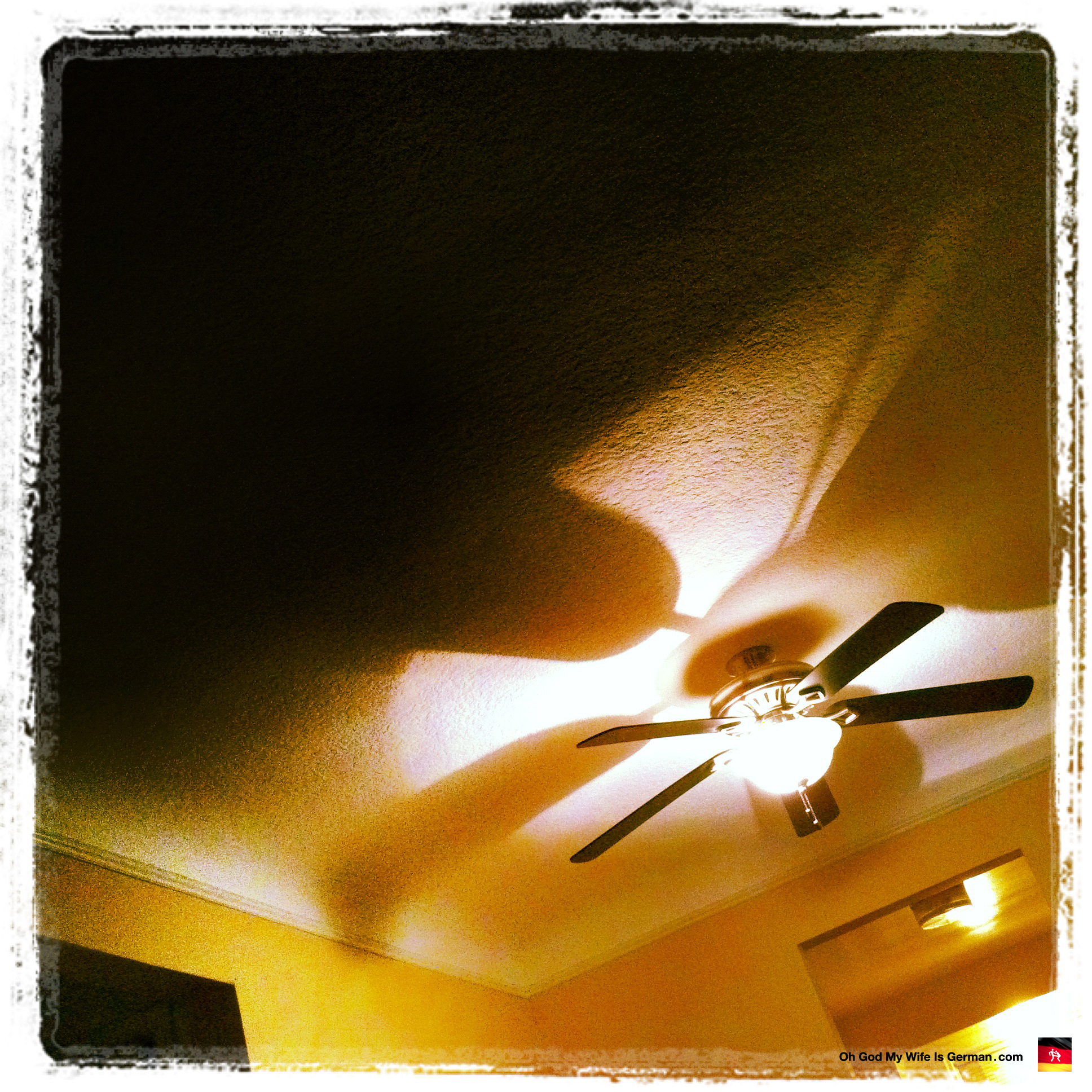 Our ceiling fan, trying to be artsy