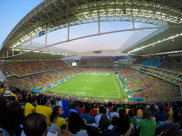 Image result for fifa world cup crowd