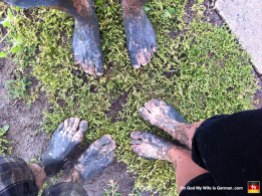 Those are our feet. Little did we know the mud jammed under our toenails would remain for weeks, no matter how hard we cleaned them. GOD! Why did we do this again?