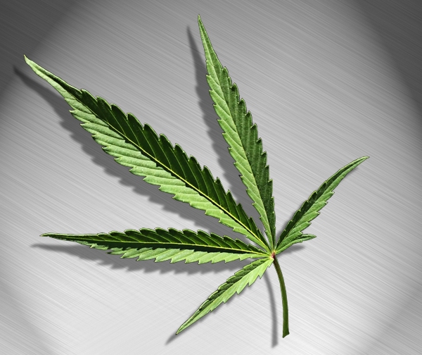 Marijuana Cannabis Leaf Germany Law Drugs