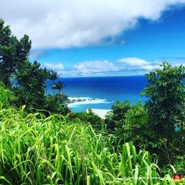Here's a view of the ocean from Akaka Falls State Park. (Heh, you said "Cock.")