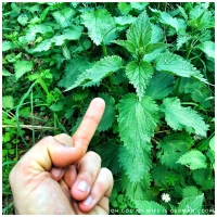 American Idiot Gets His Ass Kicked by Stinging Nettle in Germany